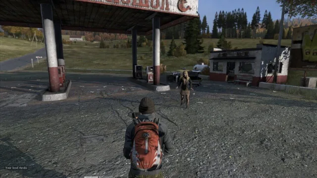 DayZ — Screenshots 1
