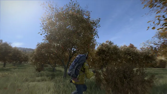 DayZ — Screenshots 5