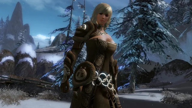 Guild Wars 2 — Screenshots 1