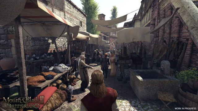 Mount & Blade II: Bannerlord — Screenshots 5