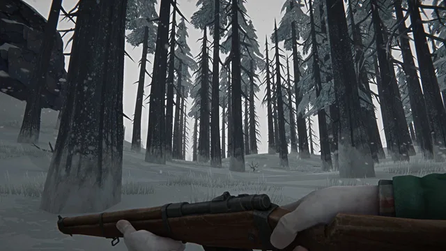The Long Dark — Screenshots 1